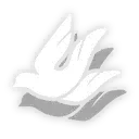 Yanqing · Skill