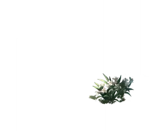 Luocha · Splash art (foreground) from Honkai: Star Rail