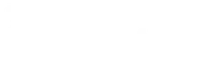 CardBluntLogo from Zenless Zone Zero
