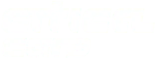 CardGunLogo from Zenless Zone Zero