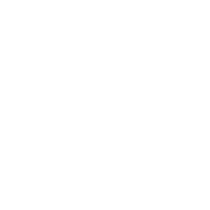 heart from Risk of Rain 2
