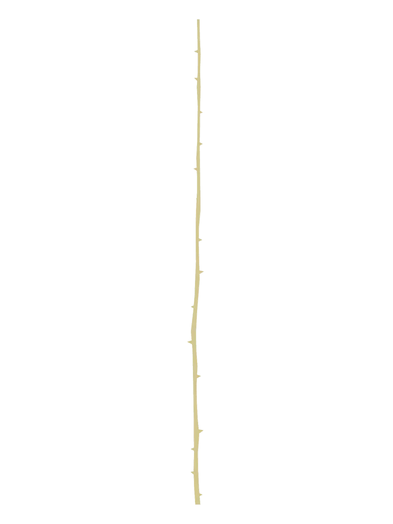 Sunday · Thorns 2 (skill) 3D model from Honkai: Star Rail