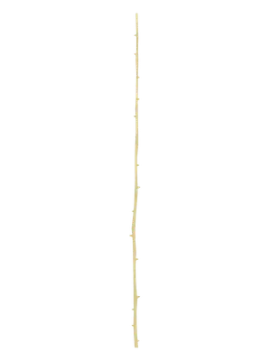 Sunday · Thorns 2 (skill) 3D model