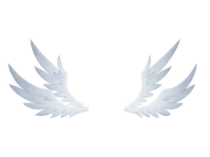 Sunday · Wing (skill) 3D model