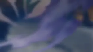 Sunday · Warp banner