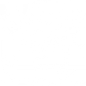 Gaming · Body colour texture from Genshin Impact