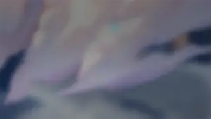 Tribbie · Warp banner from Honkai: Star Rail