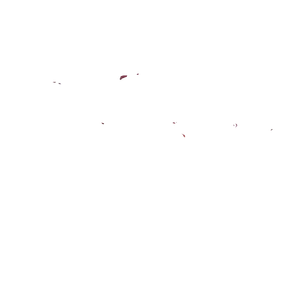 Mydei · Warp banner (foreground)