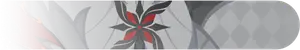 Arlecchino · Namecard (banner)