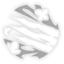 Castorice · Skill (enhanced) from Honkai: Star Rail