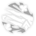 Castorice · Eidolon 2 from Honkai: Star Rail