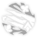 Castorice · Eidolon 2 from Honkai: Star Rail