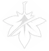 Kaedehara Kazuha · Elemental burst from Genshin Impact