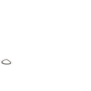 Gepard · Face colour texture from Honkai: Star Rail