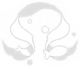 Sangonomiya Kokomi · Elemental burst