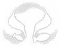 Sangonomiya Kokomi · Elemental burst (small icon)