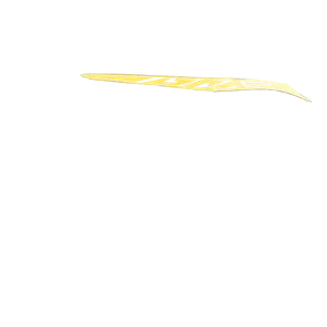 Dan Heng • Permansor Terrae · Weapon colour texture