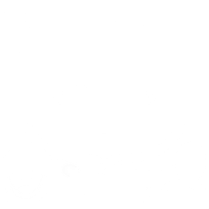 Lynx · Face colour texture