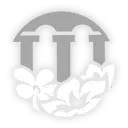 Cyrene · Technique from Honkai: Star Rail