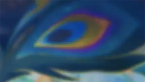 Yao Guang · Warp banner