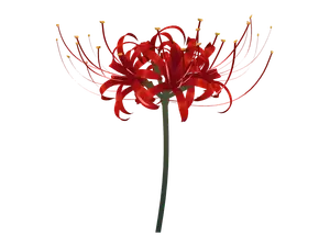 Mortenax Blade · Higanbana (skill) 3D model