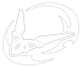 Collei · Elemental skill from Genshin Impact