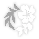 Aventurine • Waveflair · Eidolon 6 from Honkai: Star Rail