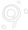 Jean · Elemental burst (small icon) from Genshin Impact