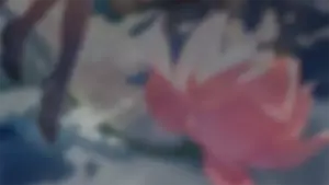 Fugue · Warp banner from Honkai: Star Rail
