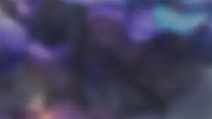 Black Swan · Warp banner