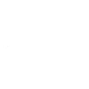 Firefly · Face colour texture